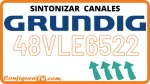 Sintonizar canales en tv Grundig 48VLE6522
